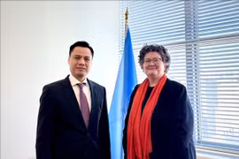 越南常驻联合国代表团团长邓黄江大使与联合国副秘书长、法律事务办公室主任埃莉诺·哈马舍尔德。图自越通社