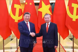 越共中央总书记苏林与中共中央总书记、中国国家主席习近平。图自越通社