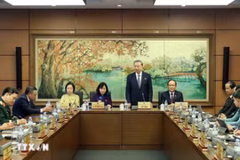 越共中央总书记苏林在会议上发表讲话。图自越通社