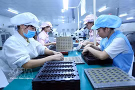 女工在宝山有限公司（北江）的生产线上组装电子元件。图自越通社
