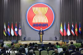 越共中央总书记苏林出席越南加入东盟30周年纪念活动并发表讲话。图自越通社