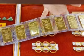 附图。图自越通社