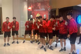 越南室内五人制足球队游览雅加达。图自越通社