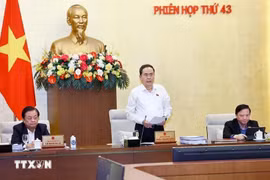 国会主席陈青敏在会议上发表讲话。图自越通社