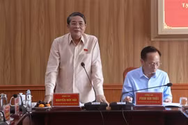 越南国会副主席、国家选举委员会委员阮德海在工作会议上发言。图自越通社