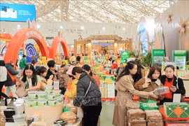 2026年春季博览会：春节期间丰富多彩、方便快捷的购物天堂。图自越通社