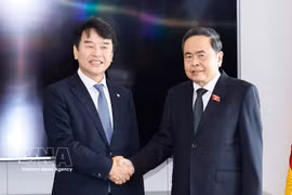 越南国会主席陈青敏在首尔与韩越友好议员小组主席文振硕。图自越通社