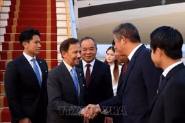 文莱达鲁萨兰国苏丹哈吉·哈桑纳尔·博尔基亚在内排机场的欢迎仪式。图自越通社
