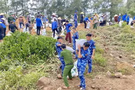 河静省调集数百名士兵、海警和当地民众，紧急加固堤坝系统。图自越通社