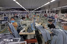 越胜JEAN 公司每年向欧盟、美国、日本和韩国市场出口数百万件产品。图自越通社