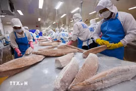 越南是新加坡第四大海鲜供应国。图自越通社