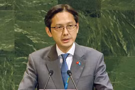 越南常驻联合国代表团团长杜雄越大使。图自越通社