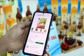 电子商务背景下的知识产权保护是一个值得关注的问题。图自越通社