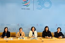工贸部进出口局副局长郑氏秋贤和越南代表出席WTO原产地规则委员会例行会议。图自越通社