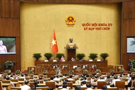 5月10日，国会副主席阮氏清在国会上发表讲话。图自越通社