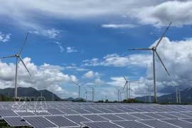 庆和省可再生能源发展潜力巨大。图自越通社