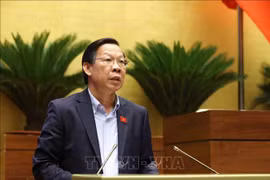 越南国会经济与财政委员会主任潘文迈作关于《企业所得税法（修正案）》草案的意见说明、采纳与梳理报告。图自越通社