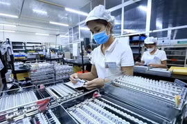 2020至2025年期间，胡志明市各出口加工区和工业园区吸引投资总额超过28.6亿美元，完成既定目标的114.59%。图自越通社