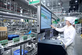 越南雀巢集团是一家100%外资（瑞士）企业，自2017年至今在越南兴安省不断增加投资资本并扩大活动。图自越通社