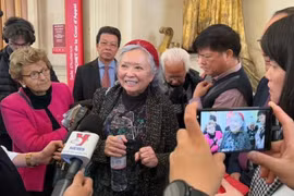 埃莱娜·吕克女士接受媒体的采访。图自越通社
