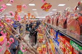 政府总理指导促进国内市场开发刺激春节消费。图自越通社