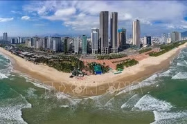 2025年1月，该市各旅游住宿接待单位为71.9万人次游客提供服务，比2024年同期增长19%。图自越通社