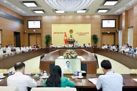 国会常务委员会第四次会议。图自越通社