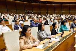 与会代表。图自越通社