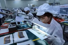 附图。图自越通社
