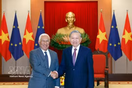 2026年1月，越共中央总书记苏林会见欧洲理事会主席安东尼奥·科斯塔。图自越通社
