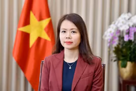 外交部副部长阮明姮。图自越通社