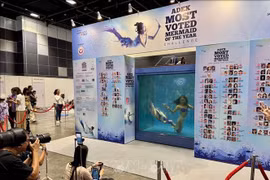 各国美人鱼团队参加 ADEX全球水舞大赛&美人鱼秀 ，吸引了众多游客的关注。图自越通社