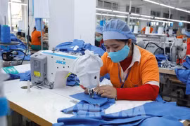 附图。图自越通社