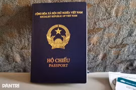 附图。图自民智报