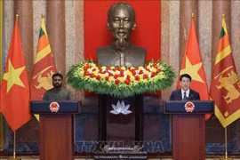 两位领导在举行会谈后共同会见记者。图自越通社