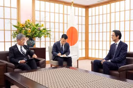杜雄越大使礼节性拜会日本外务大臣岩屋毅。图自越通社