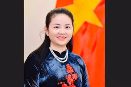越南驻莫桑比克大使陈氏秋辰。图自越通社