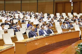 苏林总书记、范明政总理和和各位代表出席会议。图自越通社