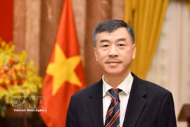 越南驻捷克大使杨怀南。图自越通社