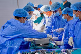 顺化中央医院应用LifePort器官保存机技术成功实施一例肾移植手术。图自越通社