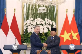 苏林总书记与印尼总统普拉博沃·苏比延多亲切握手。图自越通社