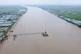 该线路起点与 419 省道相交，终点与左底（Tả Đáy）堤坝相接，全长约 2.6 公里。图自越通社