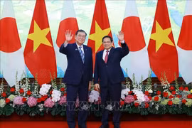 越南政府总理范明政与日本首相石破茂在会谈前合影留念。图自越通社
