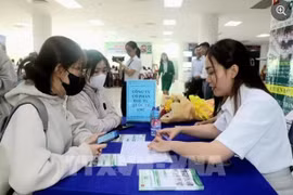 附图。图自越通社