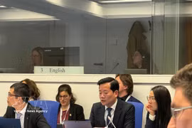 辐射与核安全局局长阮黄灵出席会议。图自越通社