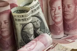 附图。图自互联网