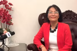 越南驻马来西亚大使范氏翠娥。图自越通社