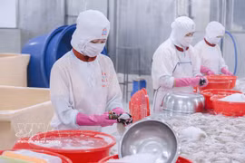 附图。图自越通社