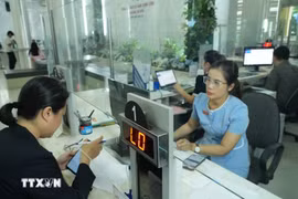 附图。图自越通社