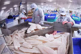 越南出口至加拿大的查鱼片。图自越通社